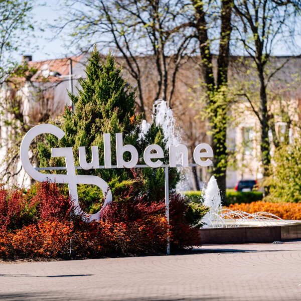 Gulbene Maija svētkos