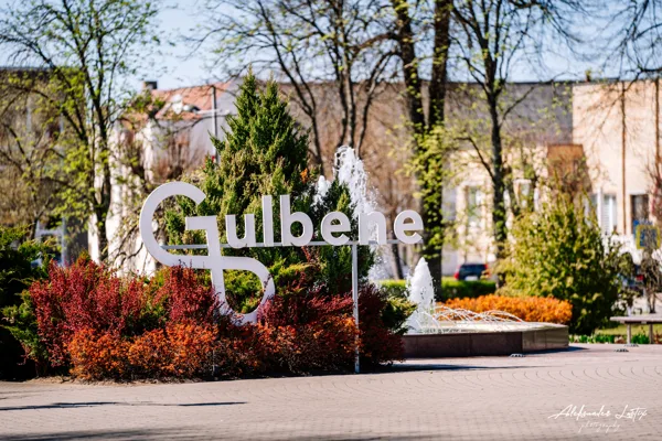 Gulbene Maija svētkos
